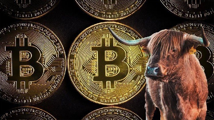 CEO of Billion-Dollar Company Says “Bitcoin Pullback is Healthy,” Shares 2026 Outlook