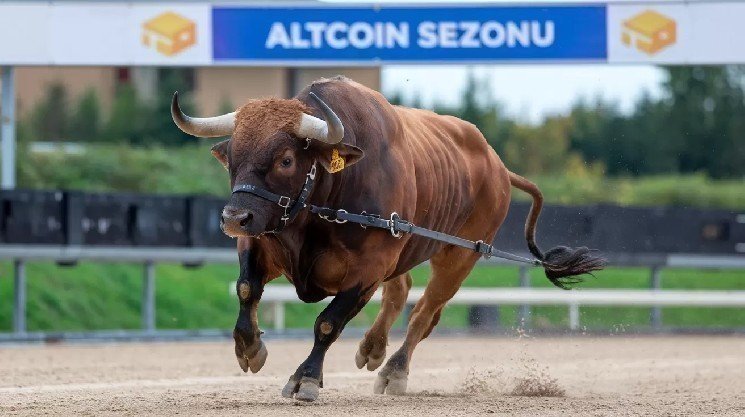 Is an Altcoin Season Coming? If So, What Will It Look Like? Strategist Raoul Pal Weighs In