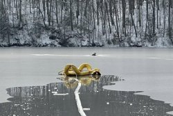 Connecticut firefighters rescue deer stranded on frozen lake