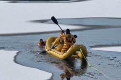 Dog rescued from partially frozen lake in New Hampshire