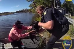 ‘Soaked and shivering’ French bulldog rescued from small Fla. island