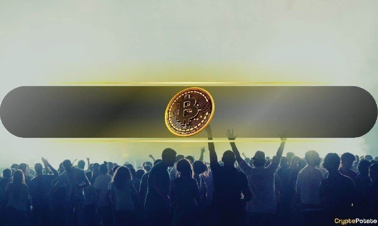 Bitcoin’s 50% Drop Tests Markets as Retail Investors Continue Dip Buying