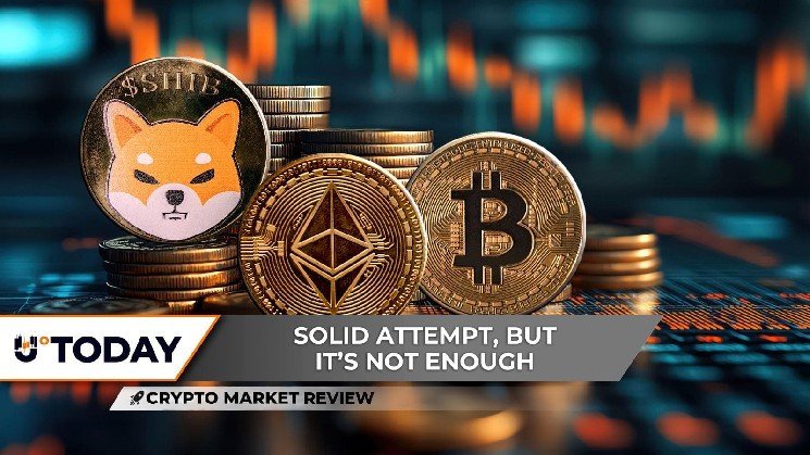 Crypto Market Shake-Up: Shiba Inu’s Recovery Goes South, Ethereum’s Dope Uptrend, and Bitcoin’s Legit Push to $70k!